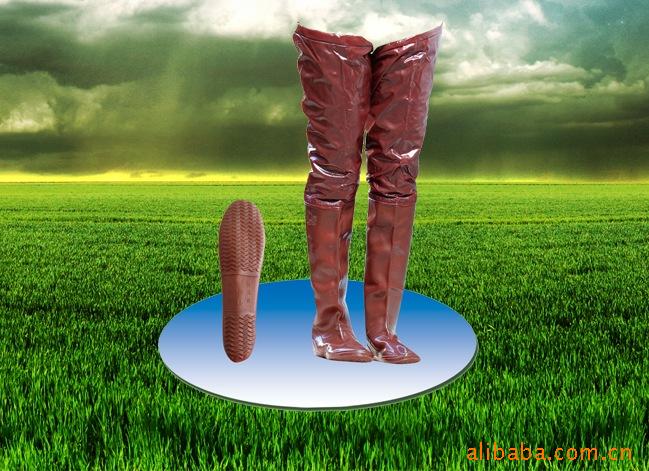 ȿ㣬ͱˮ㣬㣬ײ