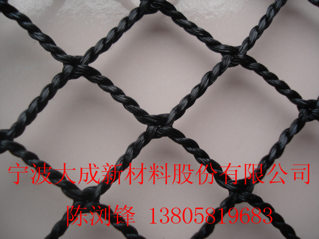 PE޽