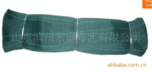 扇贝网扇贝网扇贝网