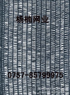 ֯|ɹ