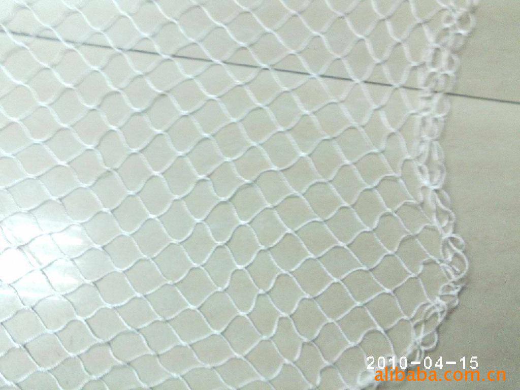 ޽