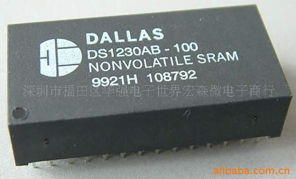 DSϵDS1230/1225…IC