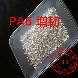 PA6