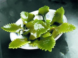 盐渍海带花