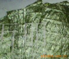 ϲ
