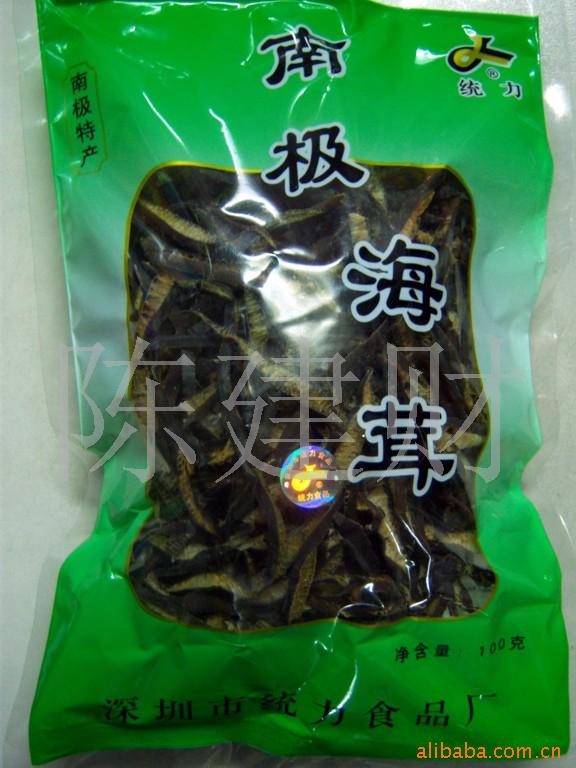 南极海茸