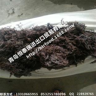 Ӫββ壡