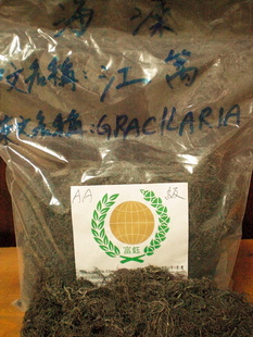 ӡֱӏSҹyGRACILARIA-֬ԭ