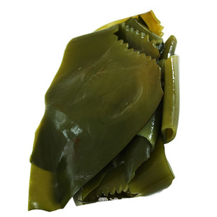 ˮƷຣӭ