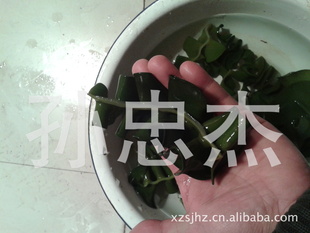 䣬ȹ˶
