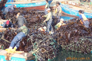겳峤ںֻ