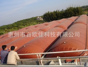 (Redmudbiogasbag)