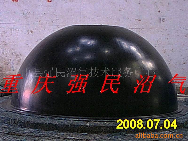 ģ