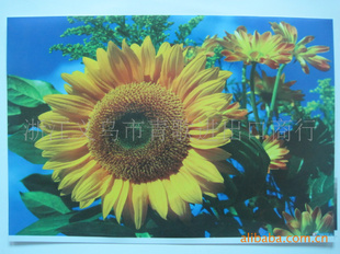 潡๦ܲ˰35*25CB35254