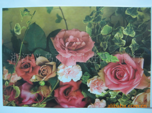 ҾʵƷ˰35*25CB35254