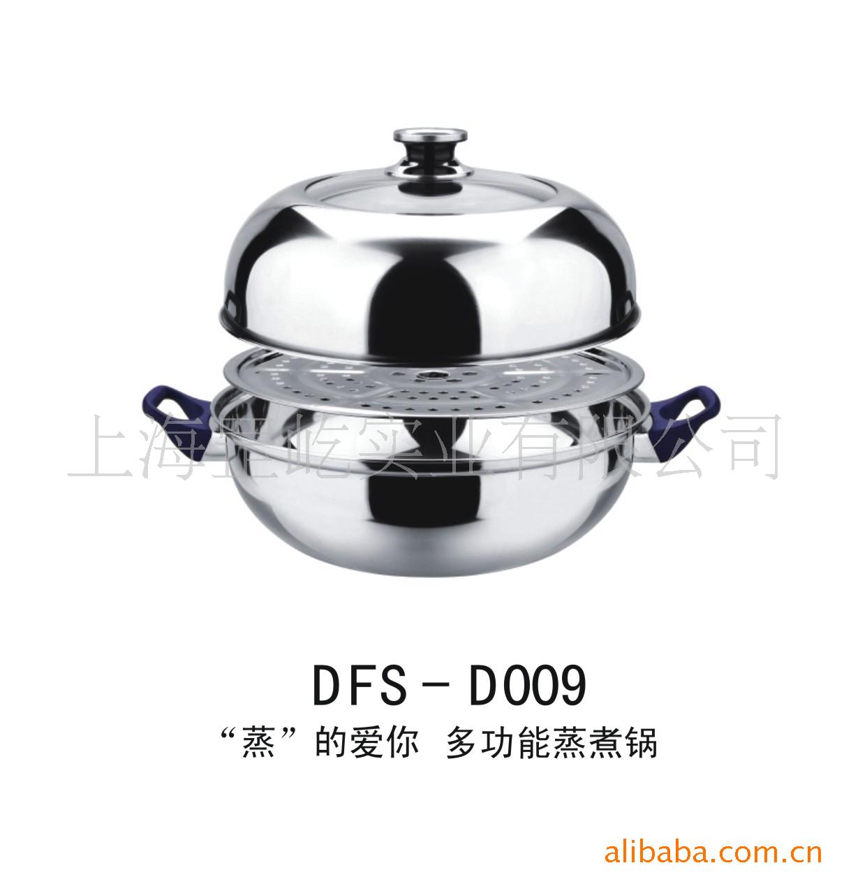 ๦DFS-D009