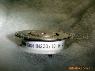 SKN1M220/10ƽ