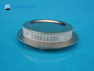 ͨZP300A500V