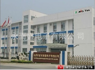 6A106A46A1