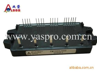 ģPM10CSJ060,