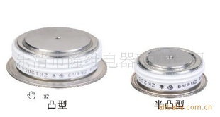 ZP-1000A/1000Vƽ尼