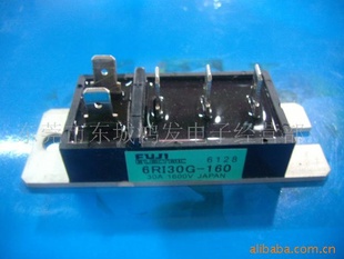 6RI30G-160ģ鸻ʿģ