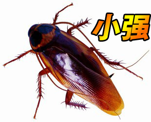 ˷ϡŹ