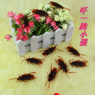 һСǿӲ