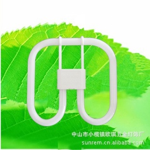 ֱ2D21W