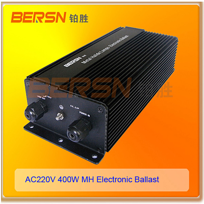 ӦѹƵƵ400W/220VHID