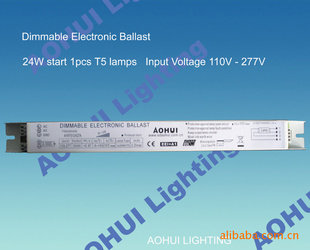 1x24WT5110V-277V