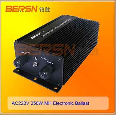 ҹӦ±Ƶ250W
