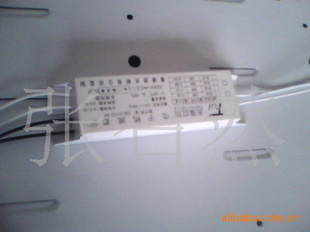 HH55W