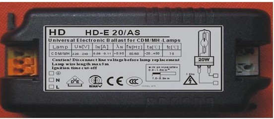 㶫20W±Ƶ