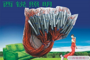 ȶT5T8һ廯/㹦T5T8/T5ӹ0.65