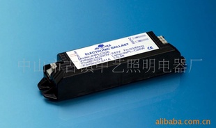 110V(ȼ)