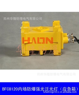 BAZ51防镇流器防灯具佩带防镇流器