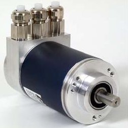 ¹ElektrimElektrim