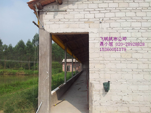 豸