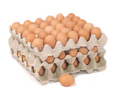 ȫԶֽģܼ