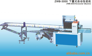 ZWB-3000下置式自动包装机