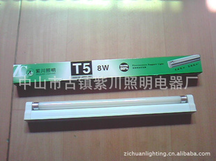 110VT4T5֧/t5ӫϴ