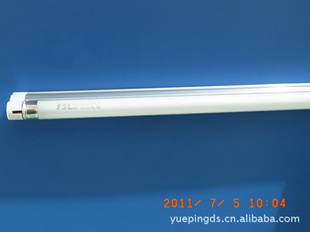 FSLɽT5—廯֧21W׹⡢ƹ