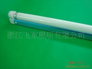 T5T8ӫֱ