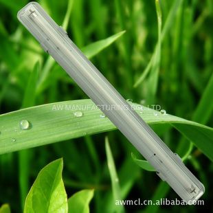 T5ƣ꣬50%