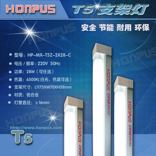 t5һ廯֧t5֧رʺ̳нȸ߱
