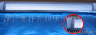 98-2⾧ӫ֧