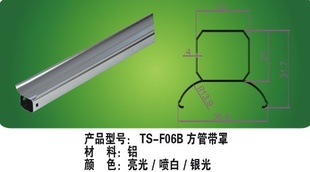 ֱT5֧T5չT5T5F06B(0.3)