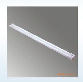 ŷT8֧——20wһ廯