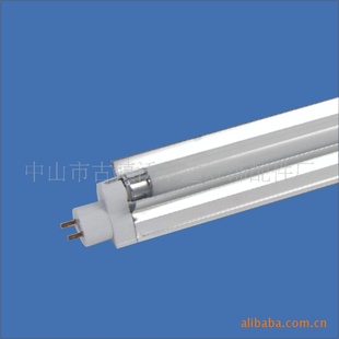 ת֧T5תT828WZP1812
